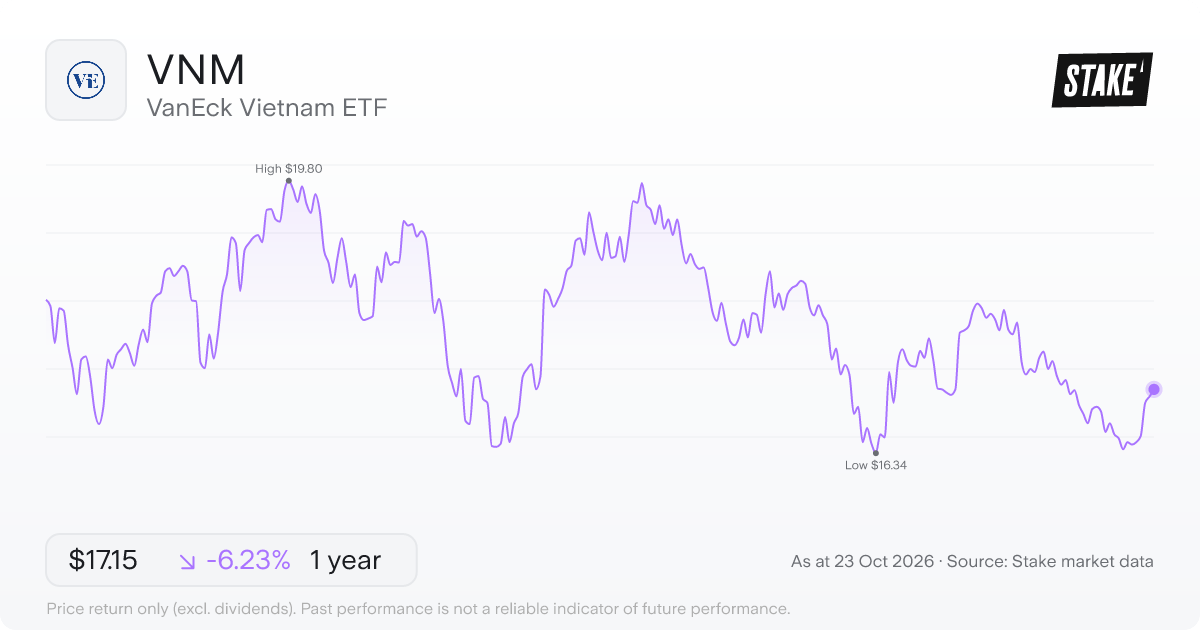 VNM 1-year price chart: down 6.2%, from US$18.29 to US$17.15. Range US$16.34 to US$19.80.