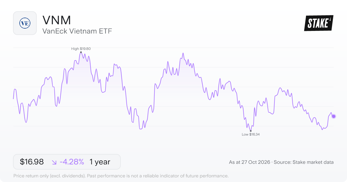 VNM 1-year price chart: down 4.3%, from US$17.74 to US$16.98. Range US$16.34 to US$19.80.