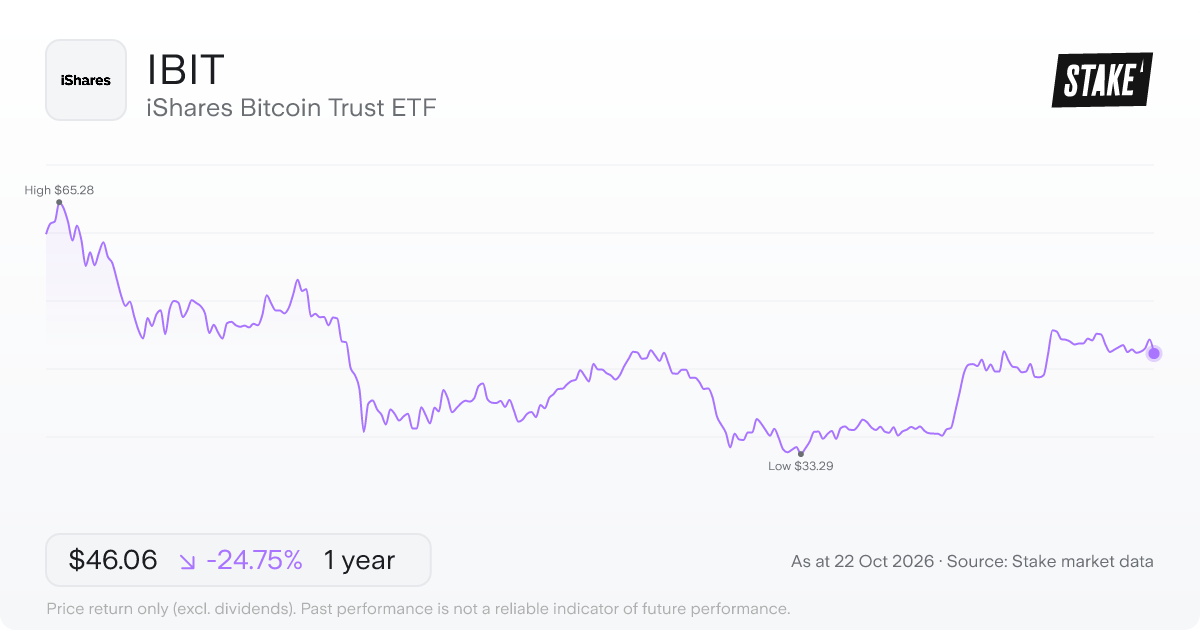 IBIT 1-year price chart: down 24.8%, from US$61.21 to US$46.06. Range US$33.29 to US$65.28.