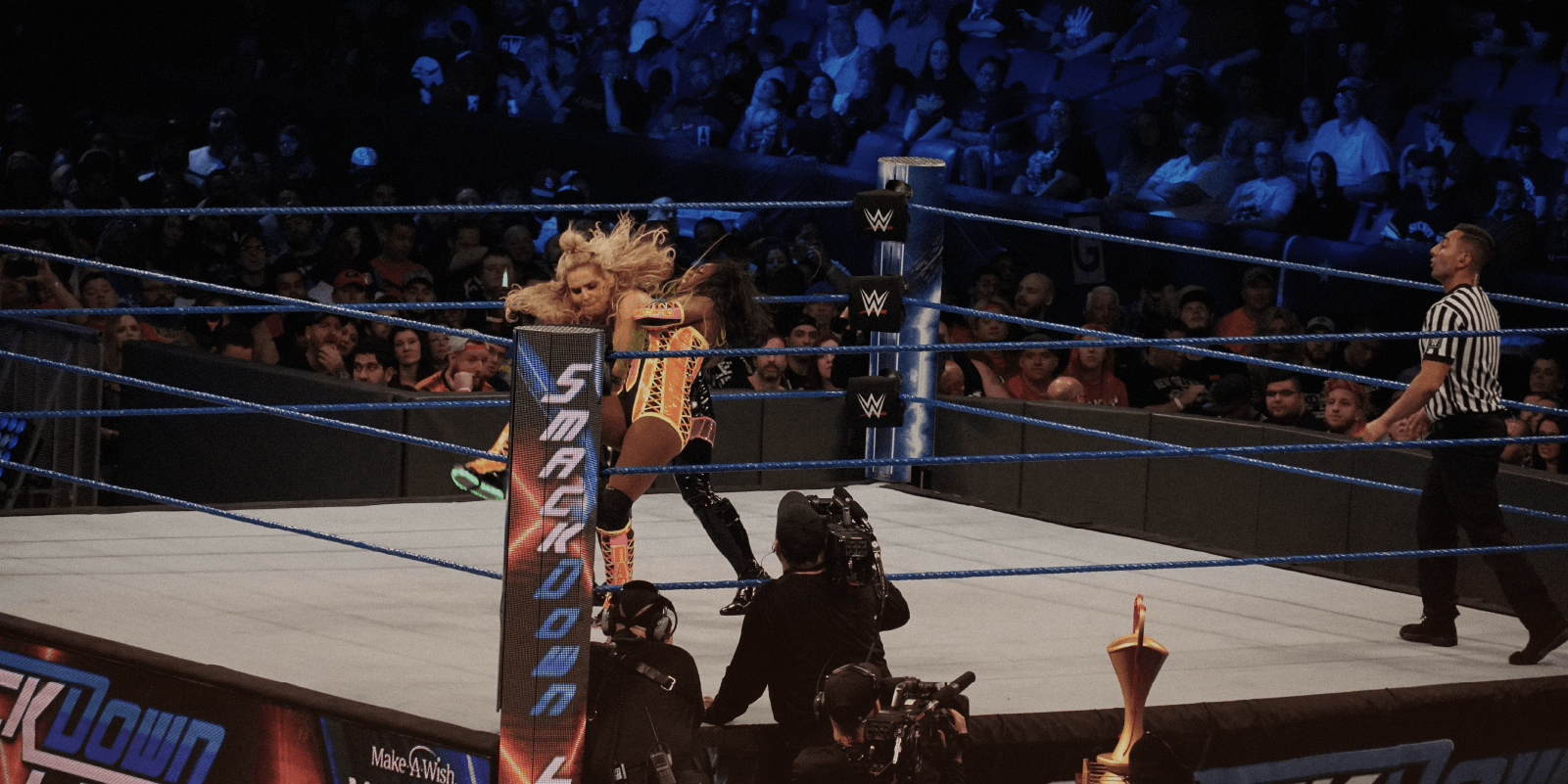 UTS_WWE_Blog_1200x600.png