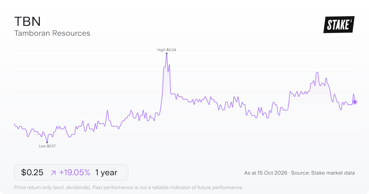 TBN 1-year price chart: up 19.5%, from A$0.21 to A$0.25. Range A$0.17 to A$0.34.