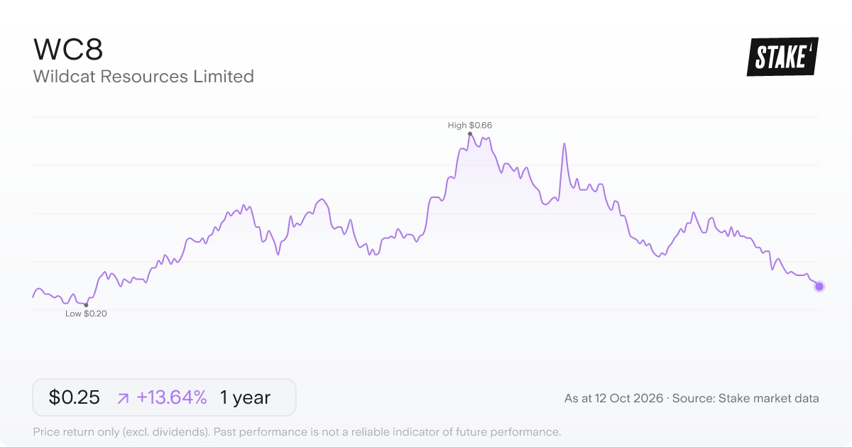 Wildcat Resources Limited (WC8) 1-year price chart, up 15.9% (A$0.22 to A$0.26).